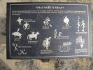 PICTURES/Crow Canyon Petroglyphs - Main Panel/t_Symbol1.jpg